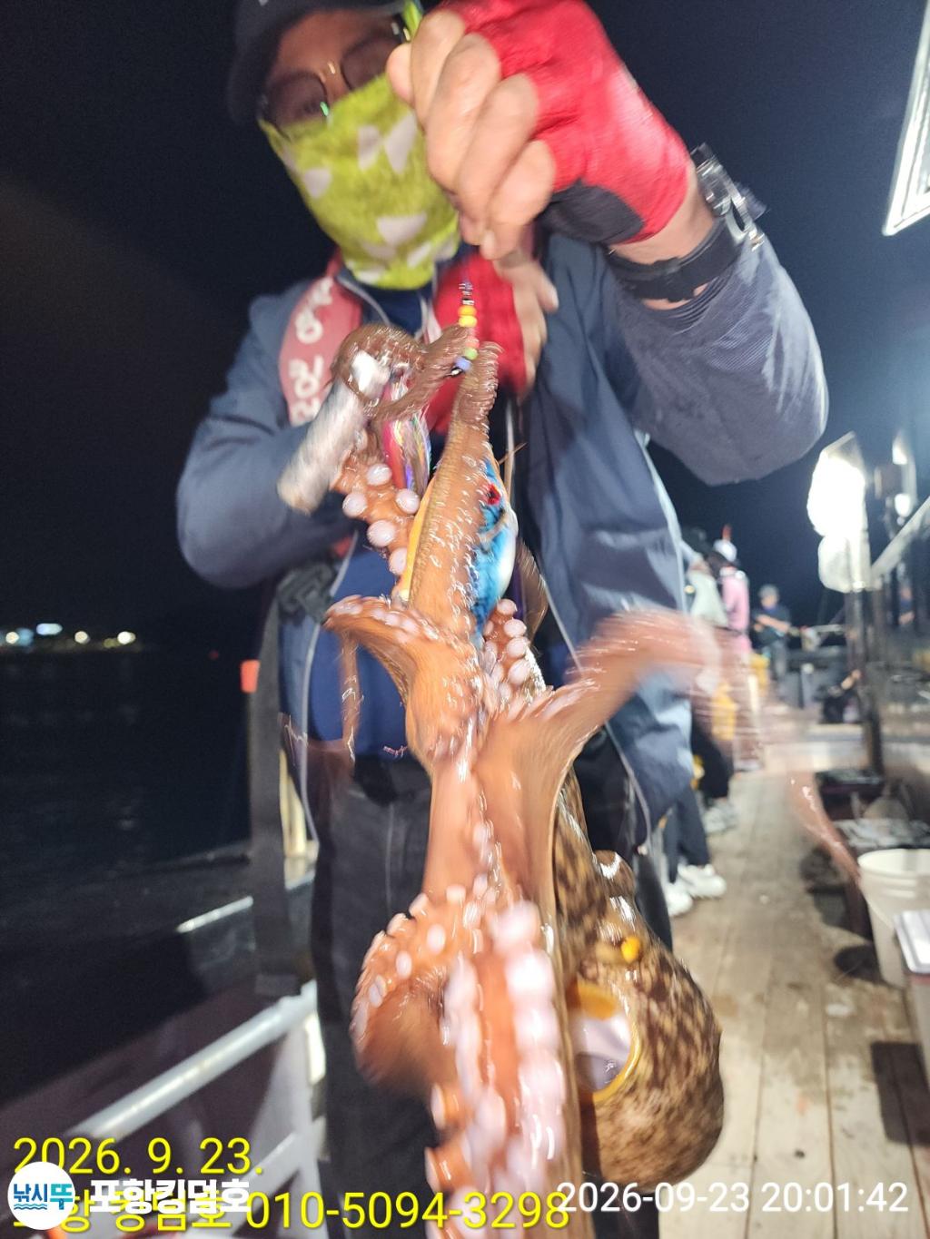 낚시뚜,돌문어,영일만항,포항 킹덤호,낚시뚜42