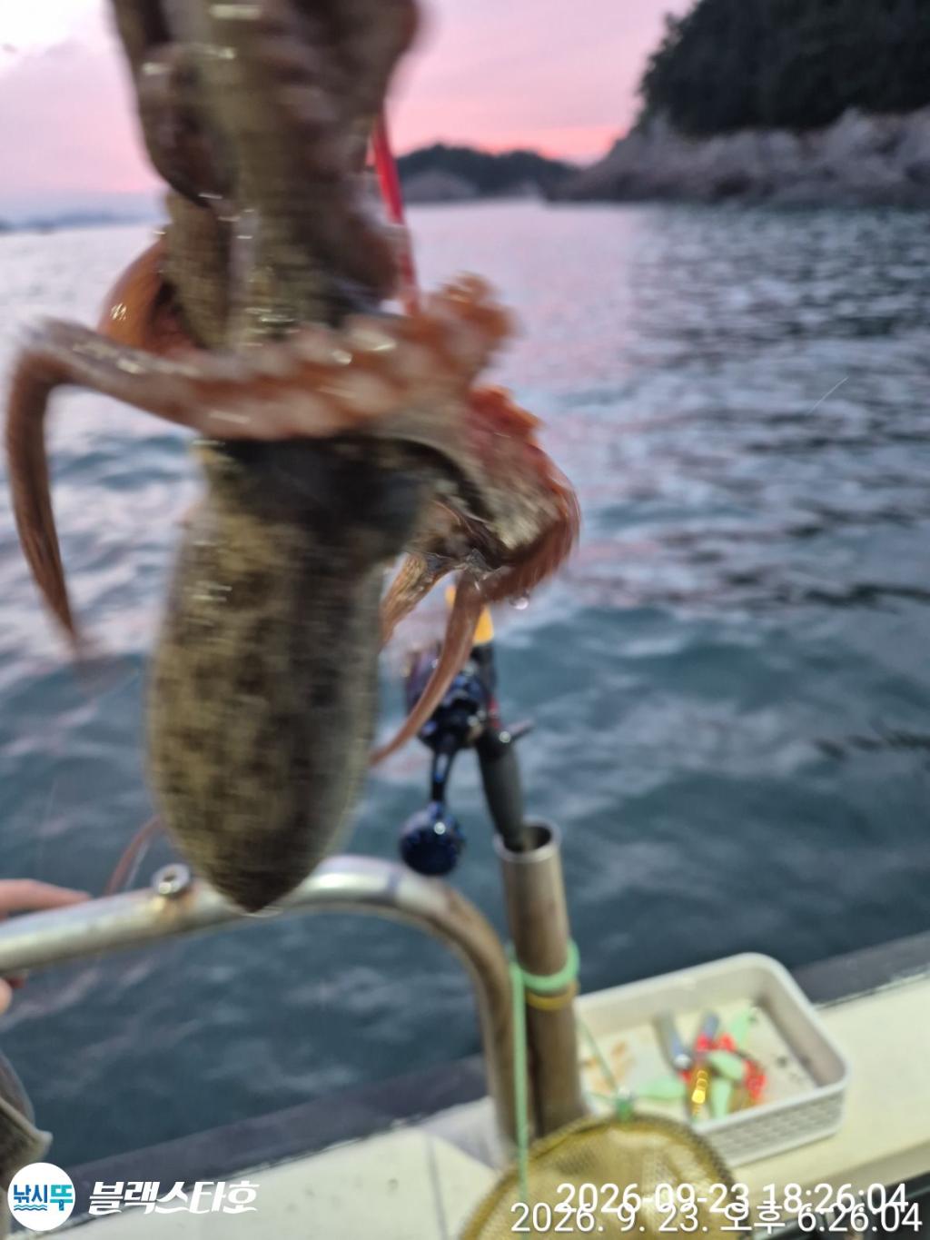 낚시뚜,돌문어,삼천포 팔포항,삼천포 블랙스타,낚시뚜5