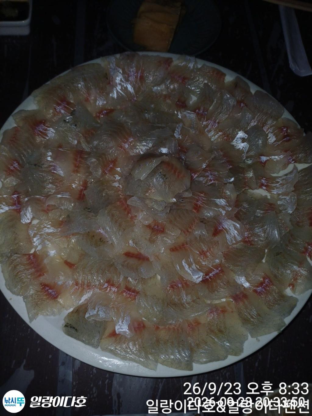 낚시뚜,감성돔,냉천항,일랑이다호,낚시뚜1