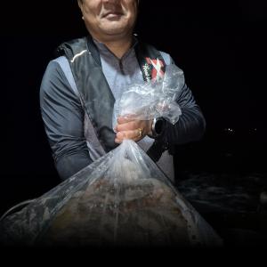 조황, 오늘 부터쭉 정상 출항 24오전 여유자리