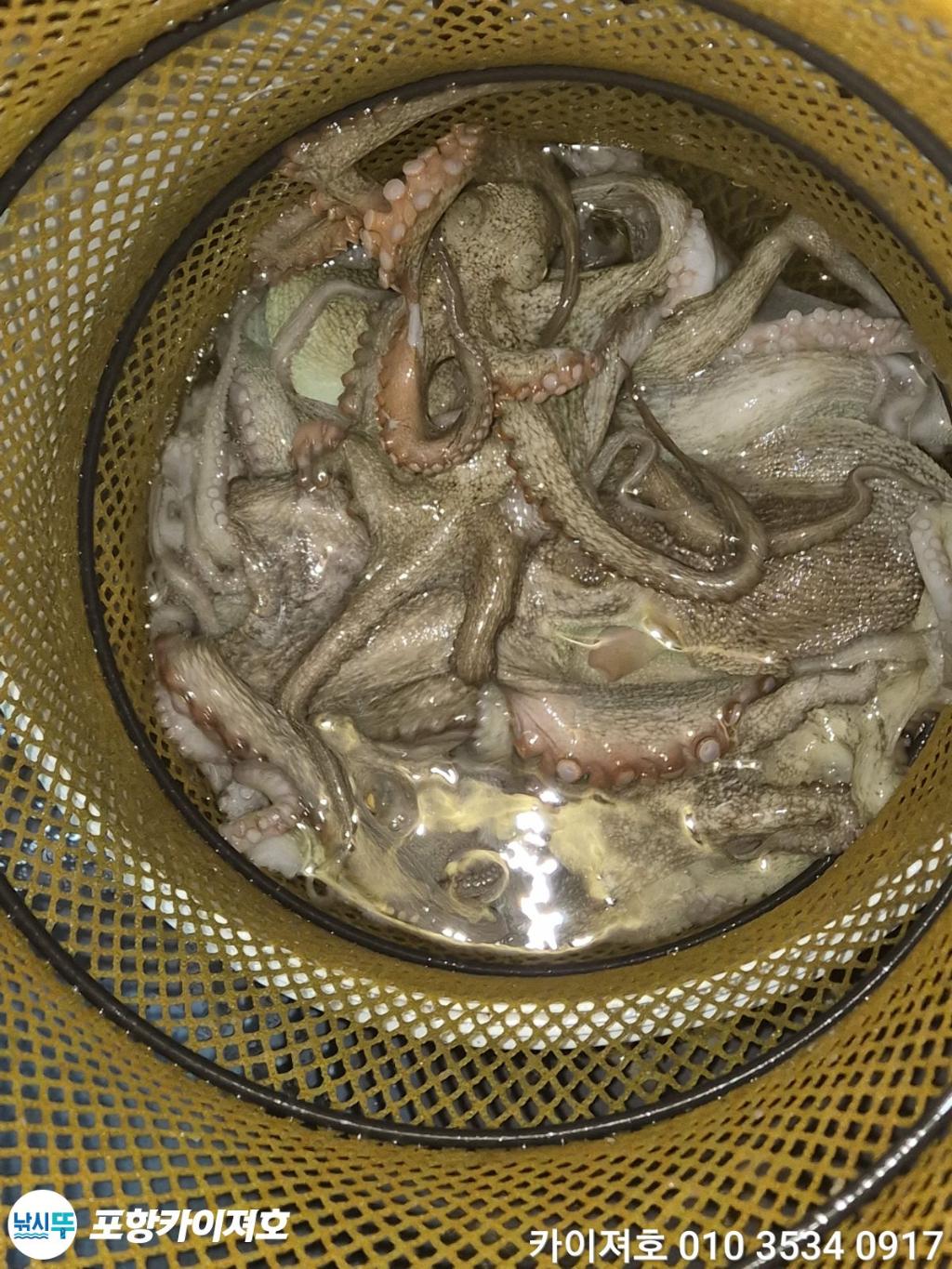 낚시뚜,기타 (직접입력),영일만항,포항카이져호,낚시뚜23