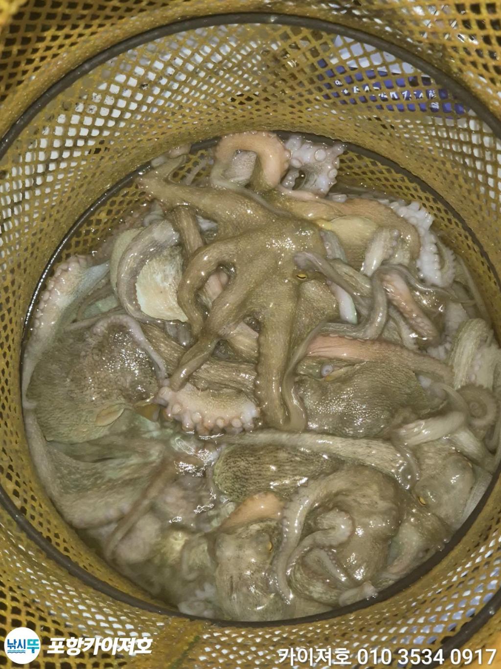 낚시뚜,기타 (직접입력),영일만항,포항카이져호,낚시뚜21
