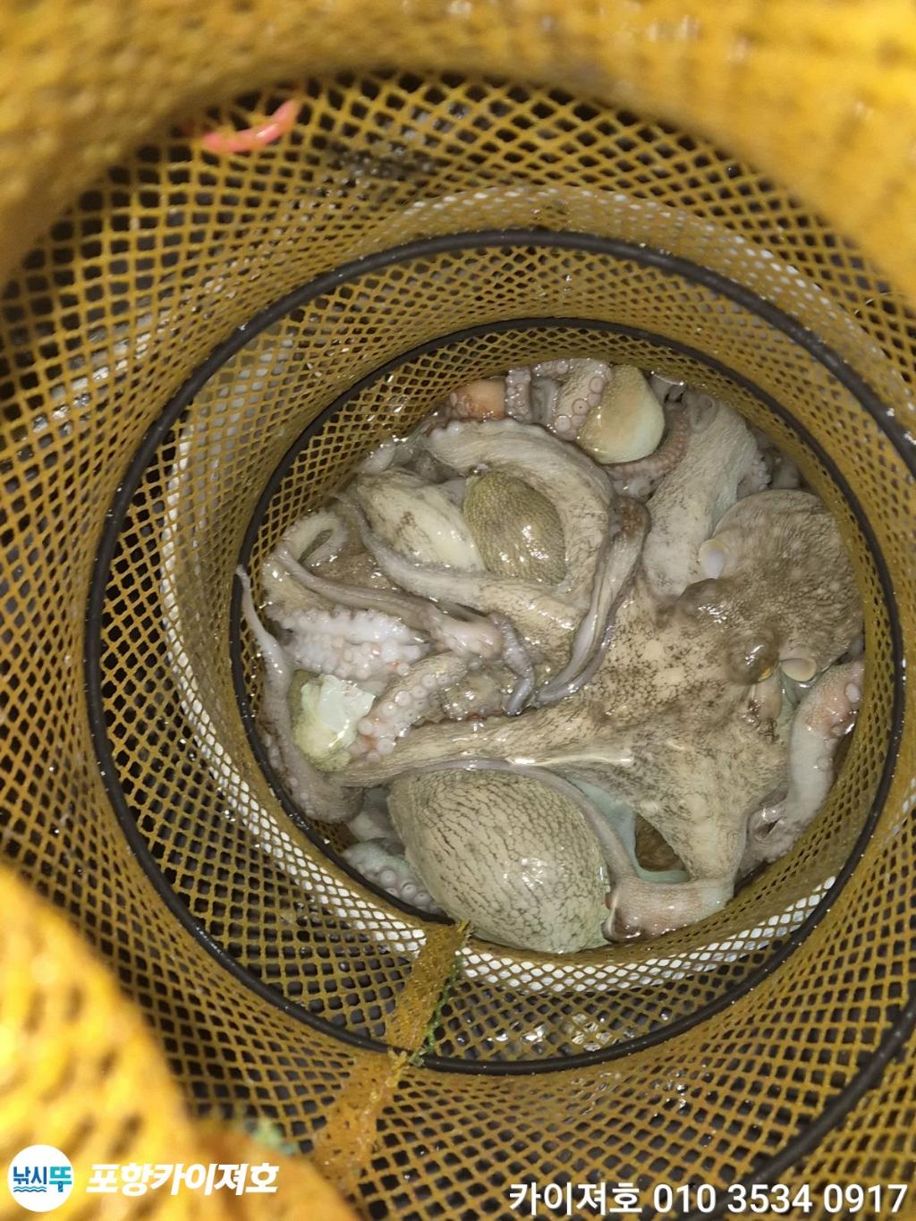 낚시뚜,기타 (직접입력),영일만항,포항카이져호,낚시뚜3