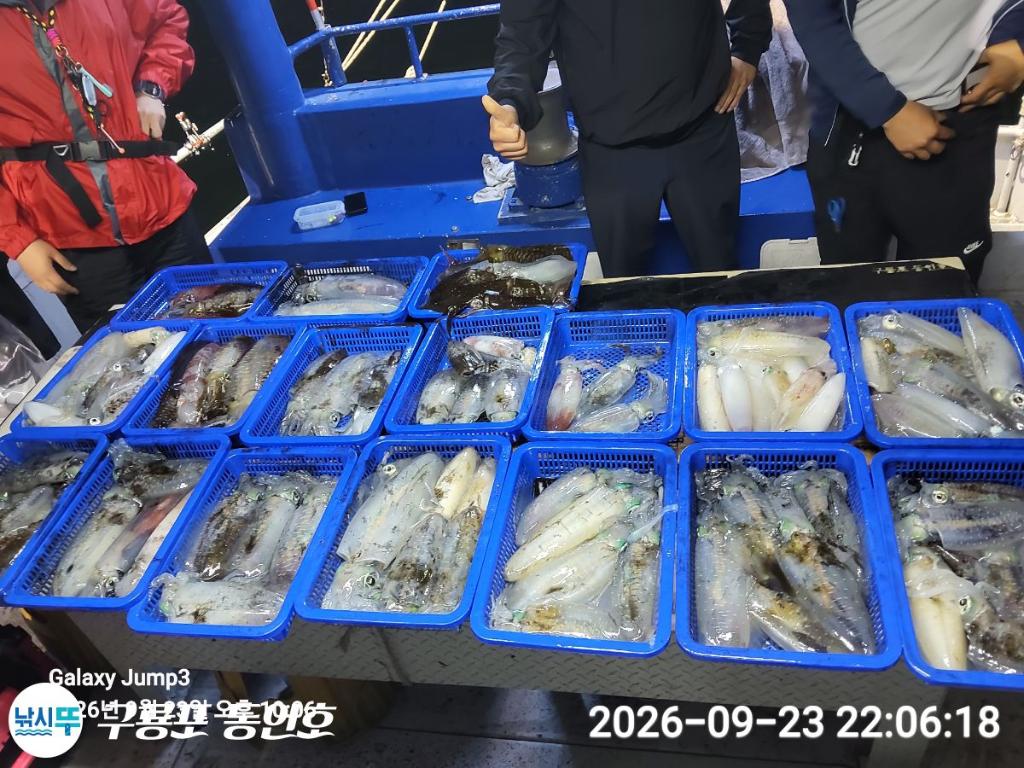 낚시뚜,무늬오징어,구룡포항,구룡포 동인호,낚시뚜14