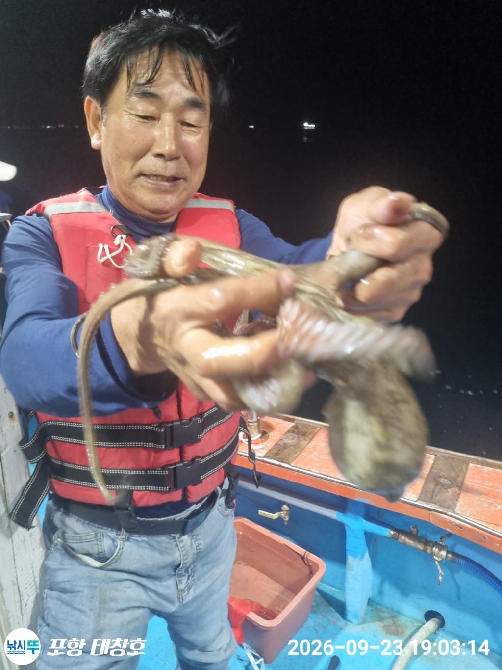 낚시뚜,돌문어,영일만항,포항 태창호,낚시뚜9