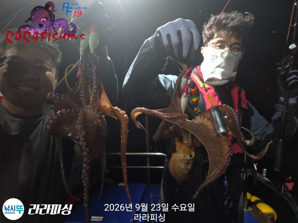 낚시뚜,돌문어,속천항(진해),라라피싱,낚시뚜11