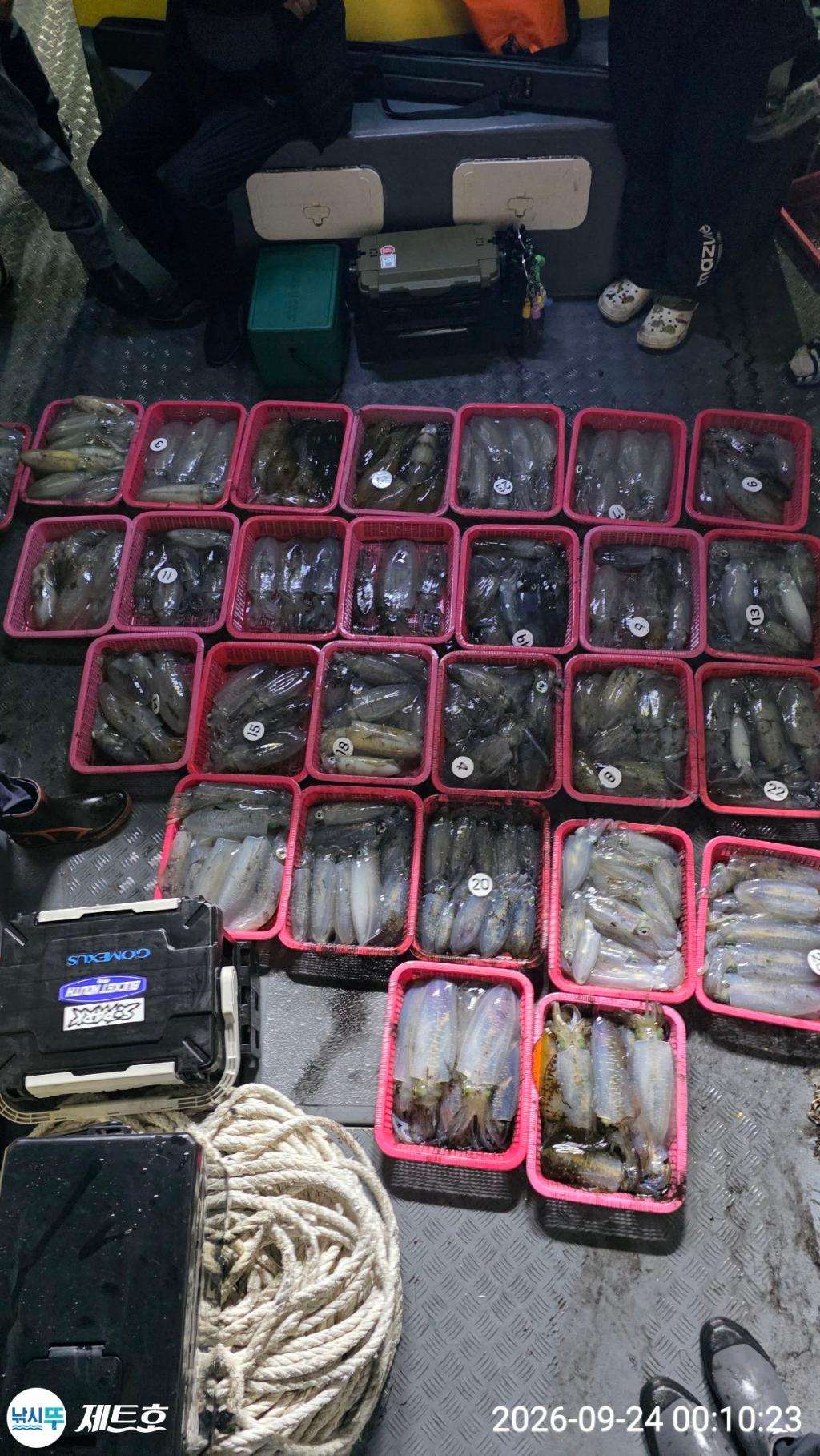 낚시뚜,무늬오징어,영일만항,포항 제트호,낚시뚜2