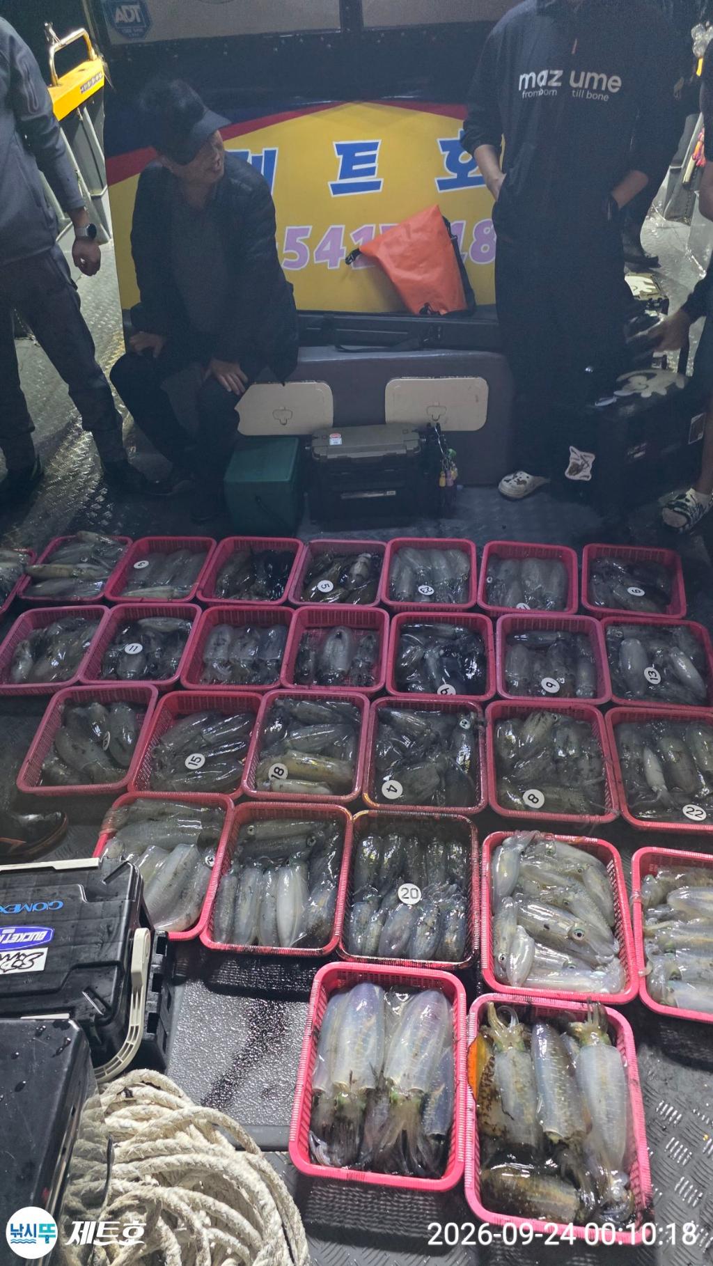 낚시뚜,무늬오징어,영일만항,포항 제트호,낚시뚜0