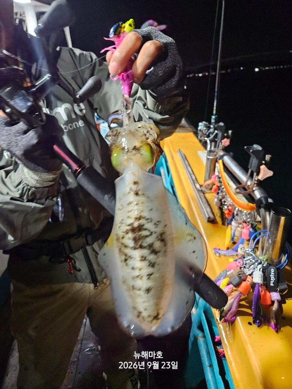 낚시뚜,무늬오징어,영일만항,뉴해마호,낚시뚜29