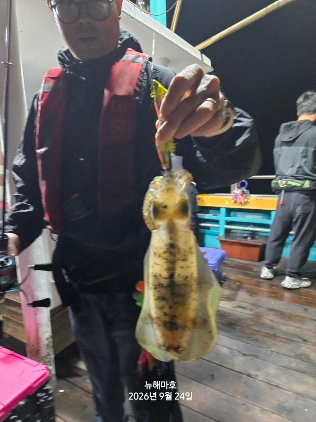 낚시뚜,무늬오징어,영일만항,뉴해마호,낚시뚜4