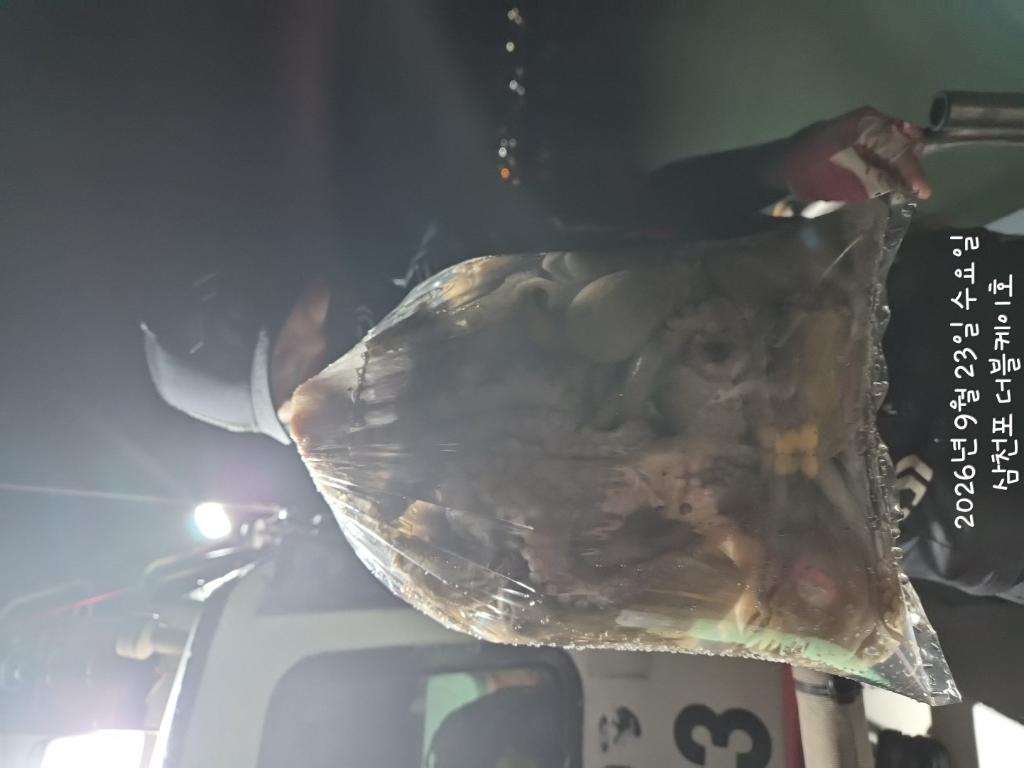 낚시뚜,돌문어,삼천포 팔포항,삼천포 더블케이호,낚시뚜12