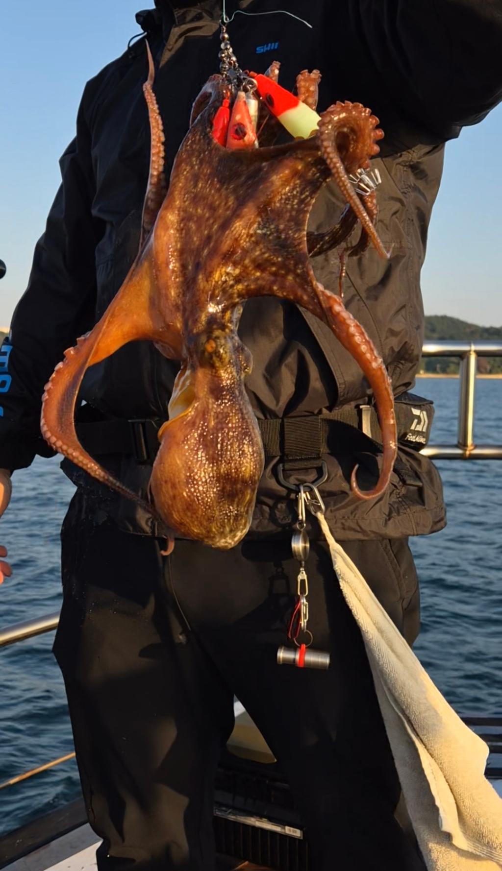 낚시뚜,돌문어,포항여남항,포항포시즌호,낚시뚜19
