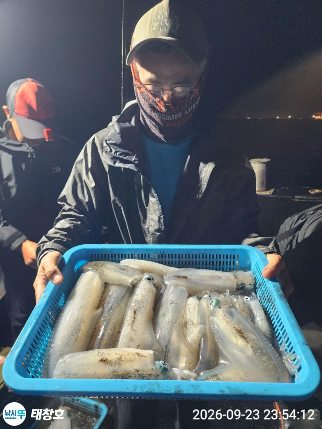 낚시뚜,무늬오징어,영일만항,태창호,낚시뚜17