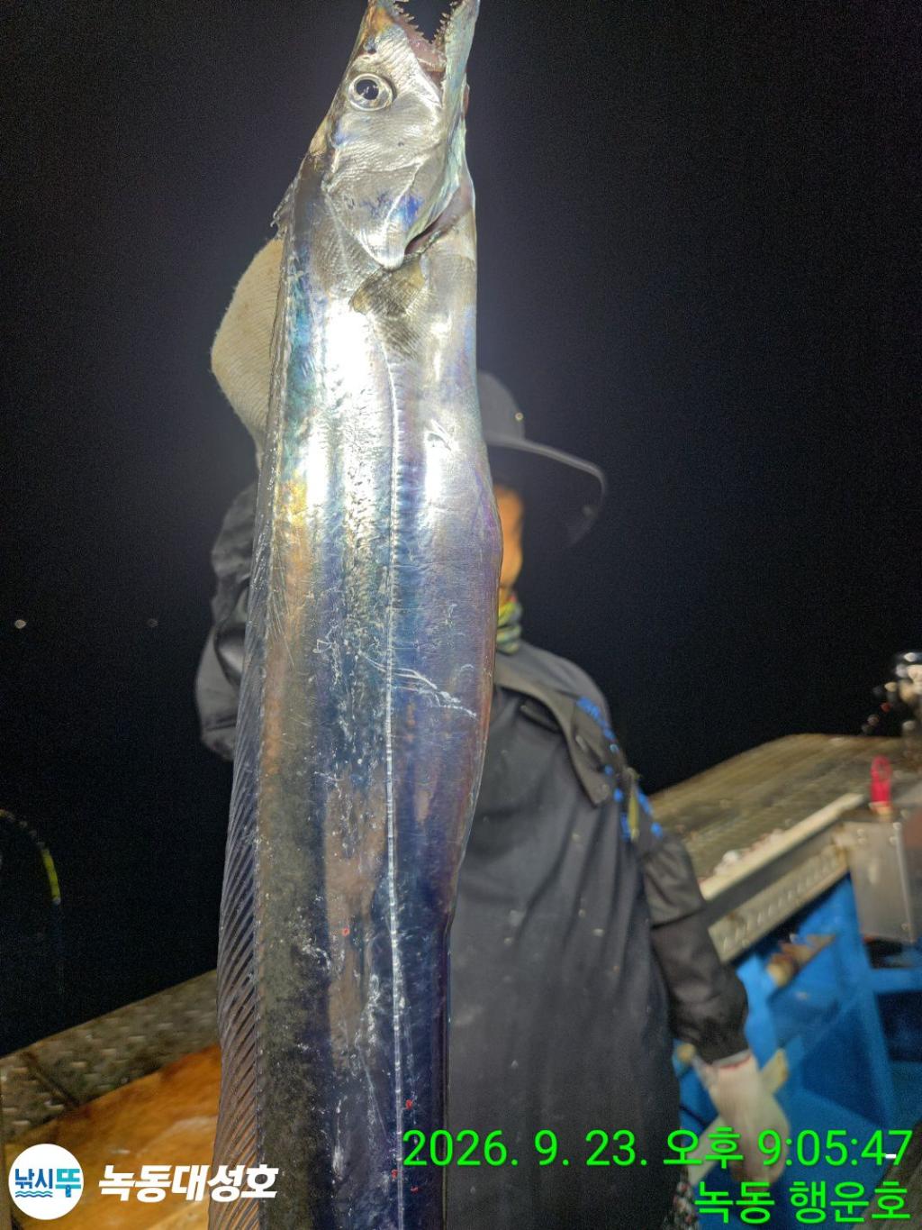 낚시뚜,갈치,녹동항,녹동대성호,낚시뚜29