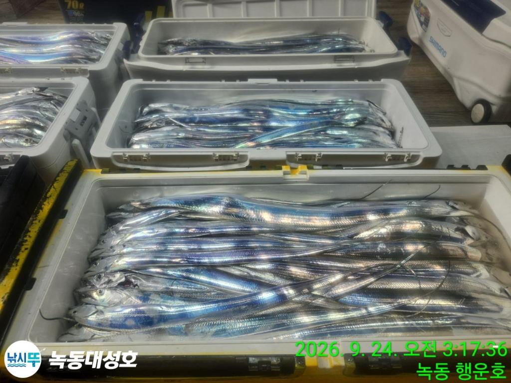 낚시뚜,갈치,녹동항,녹동대성호,낚시뚜5