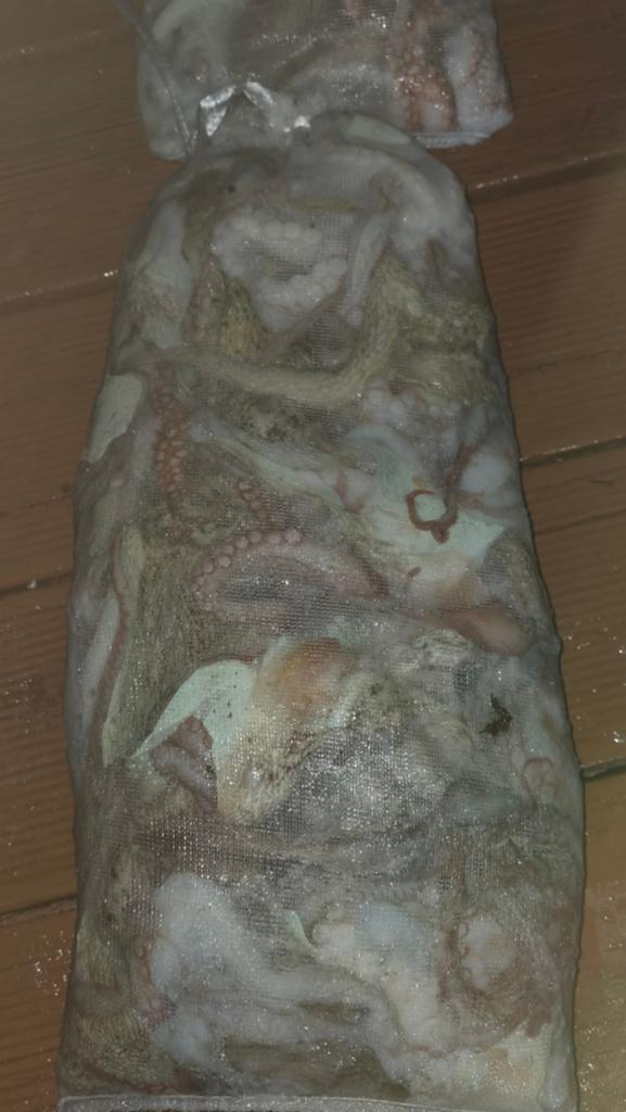 낚시뚜,돌문어,포항여남항,포항포시즌호,낚시뚜7