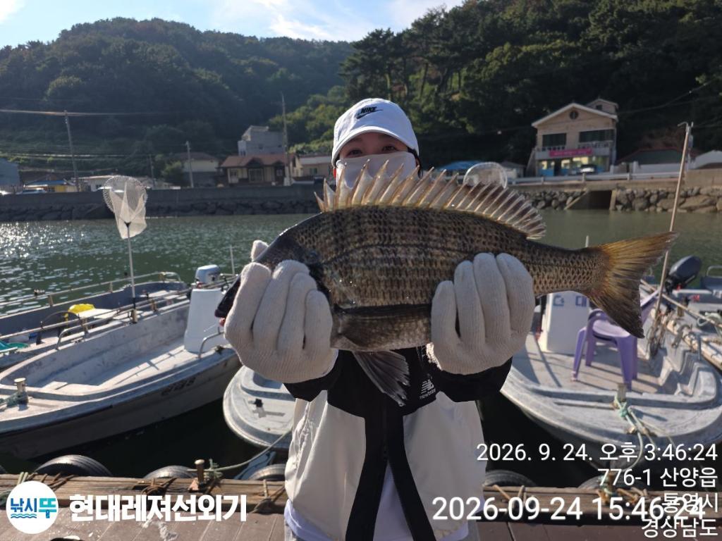 낚시뚜,감성돔,갑오징어,참돔,풍화상장마을,통영 현대레져선외기,낚시뚜0
