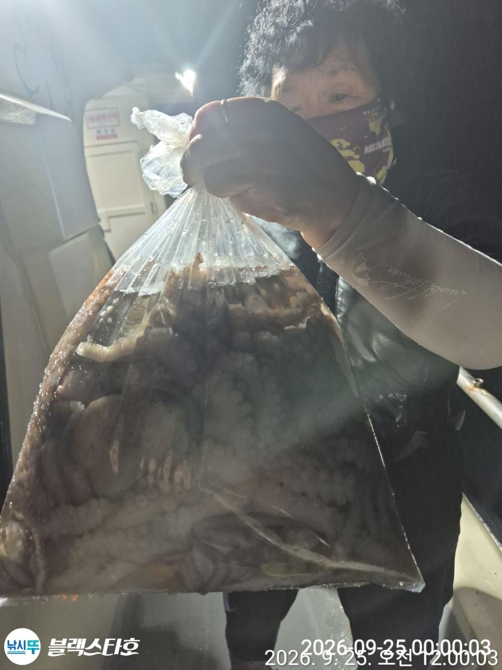 낚시뚜,돌문어,삼천포 팔포항,삼천포 블랙스타,낚시뚜17