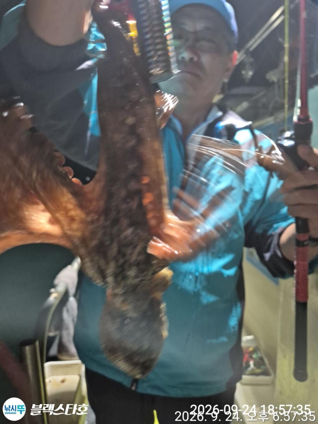 낚시뚜,돌문어,삼천포 팔포항,삼천포 블랙스타,낚시뚜1