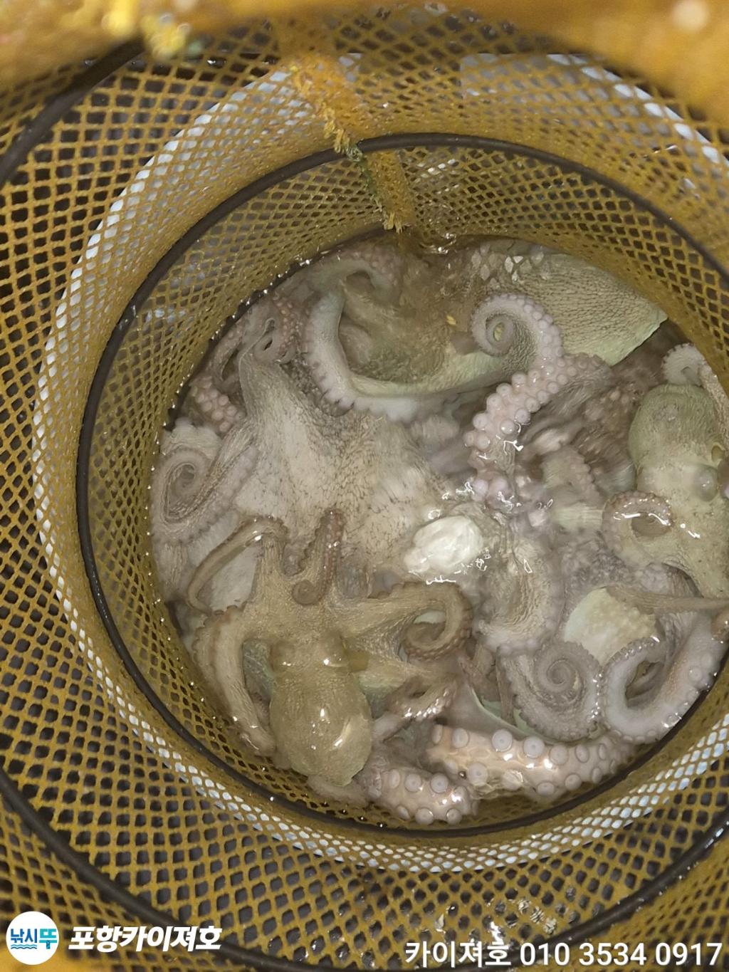 낚시뚜,기타 (직접입력),영일만항,포항카이져호,낚시뚜3