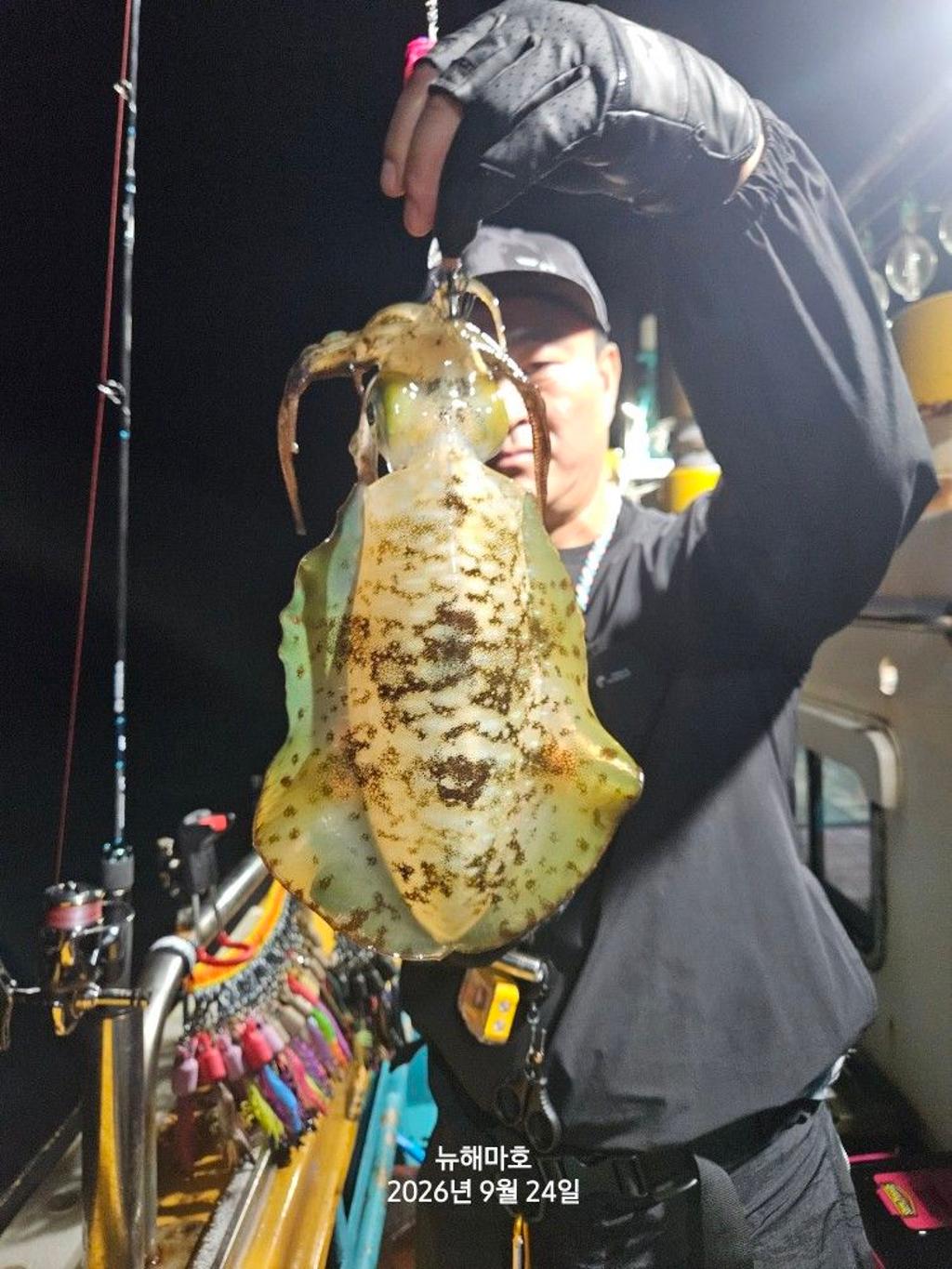 낚시뚜,무늬오징어,영일만항,뉴해마호,낚시뚜8