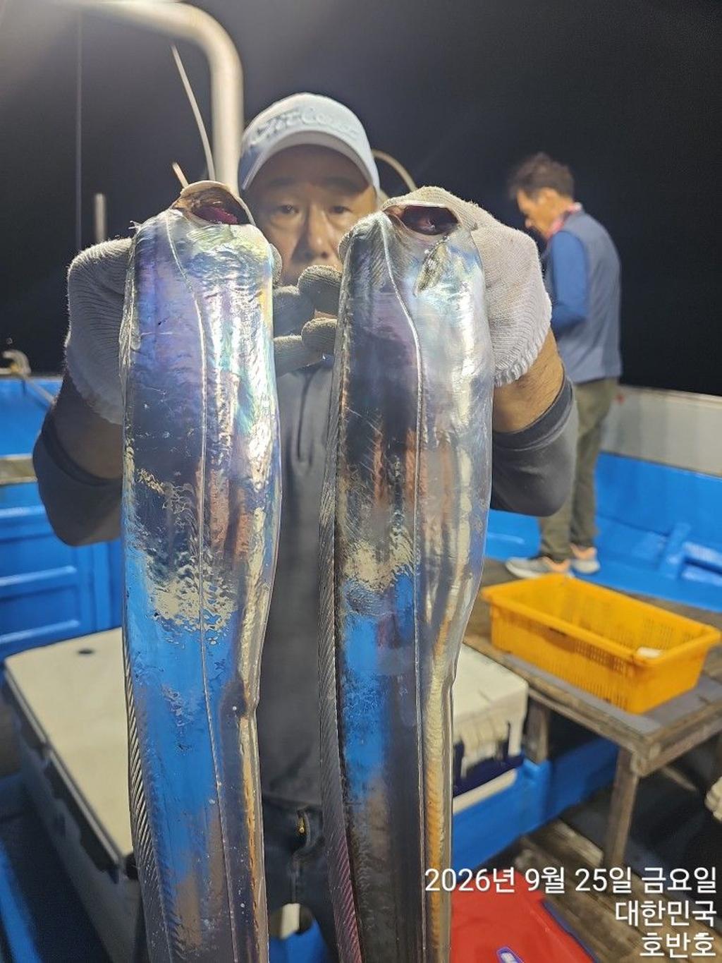 낚시뚜,갈치,통영 신전항,통영호반호,낚시뚜13