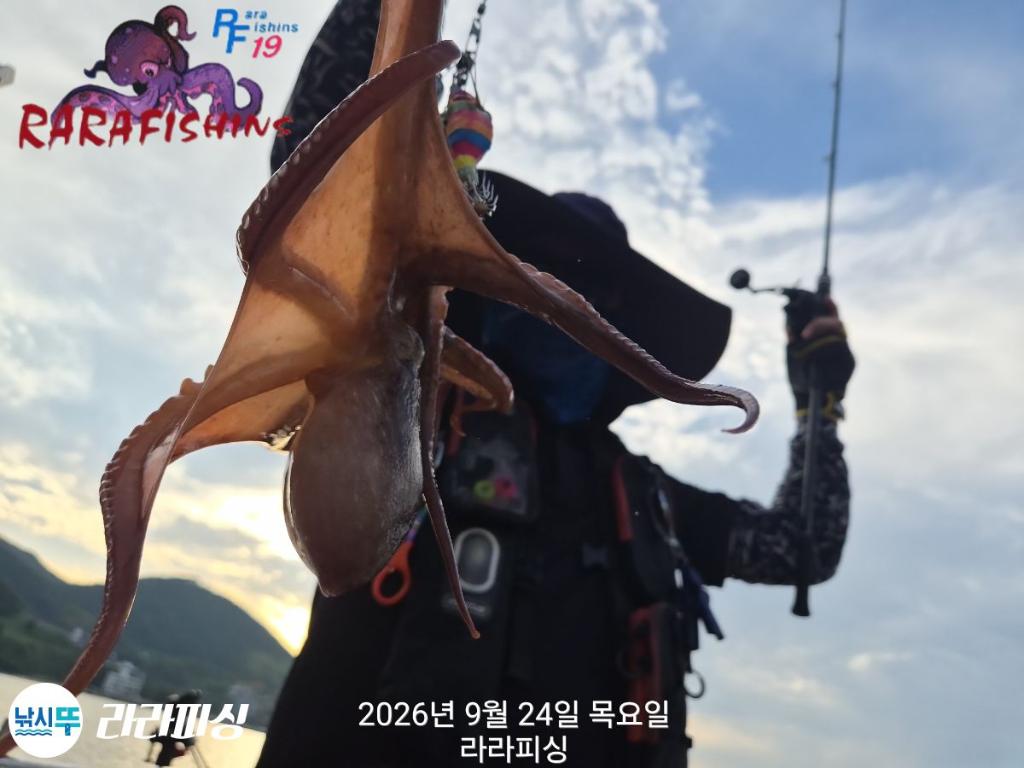 낚시뚜,돌문어,속천항(진해),라라피싱,낚시뚜12