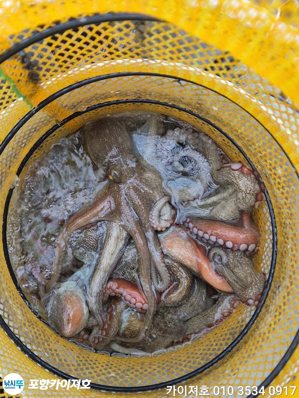 낚시뚜,기타 (직접입력),영일만항,포항카이져호,낚시뚜19