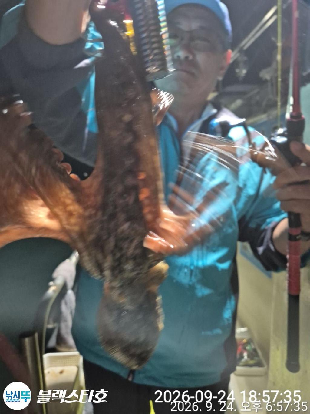 낚시뚜,돌문어,삼천포 팔포항,삼천포 블랙스타,낚시뚜0