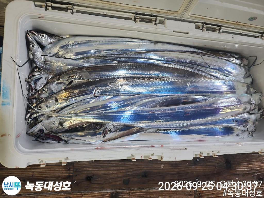 낚시뚜,갈치,녹동항,녹동대성호,낚시뚜90