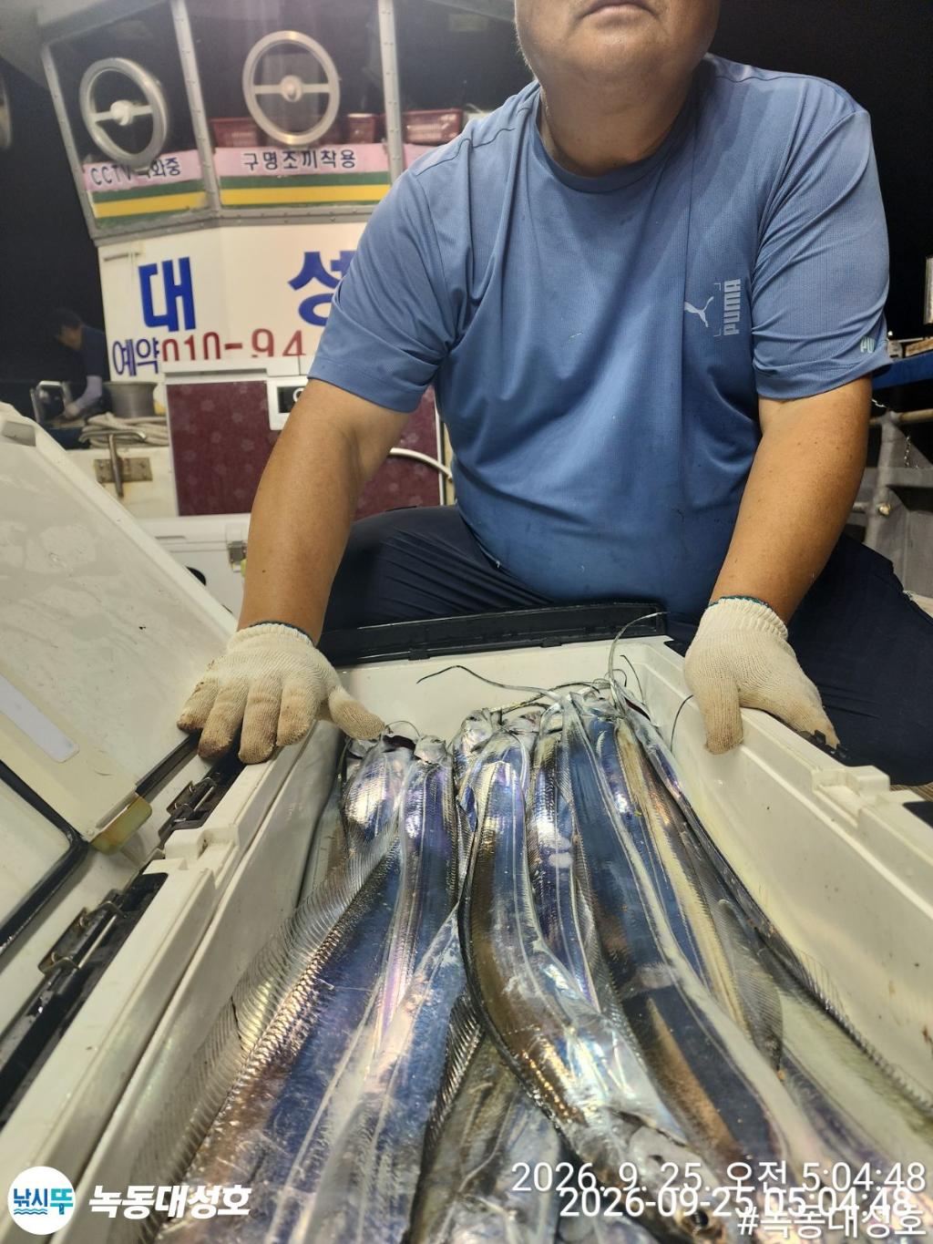 낚시뚜,갈치,녹동항,녹동대성호,낚시뚜71