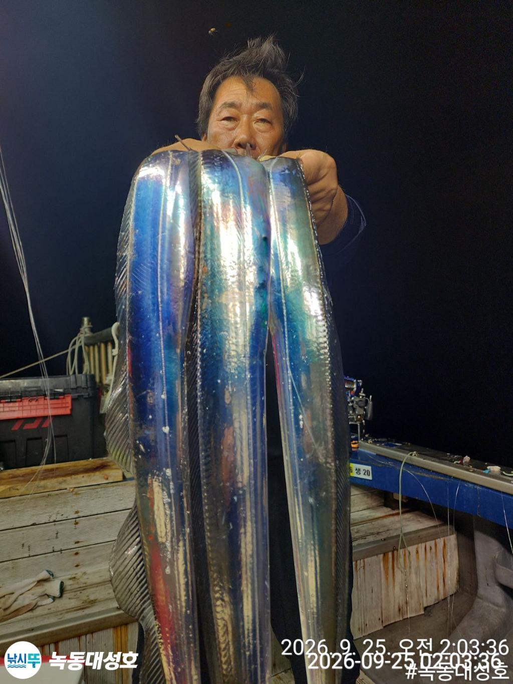 낚시뚜,갈치,녹동항,녹동대성호,낚시뚜50