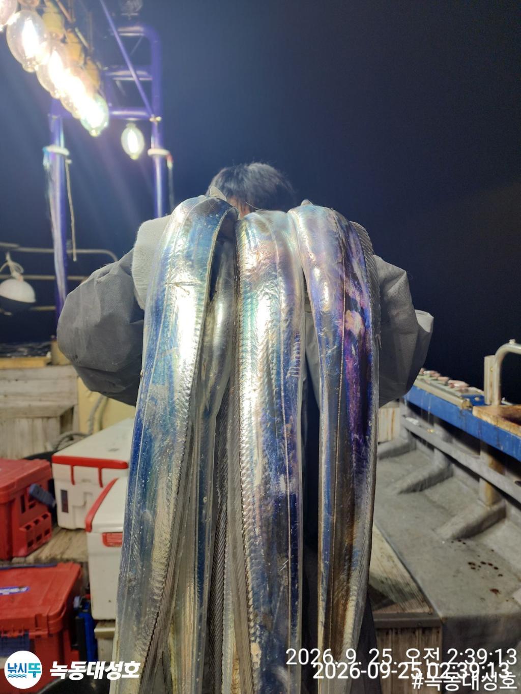 낚시뚜,갈치,녹동항,녹동대성호,낚시뚜43