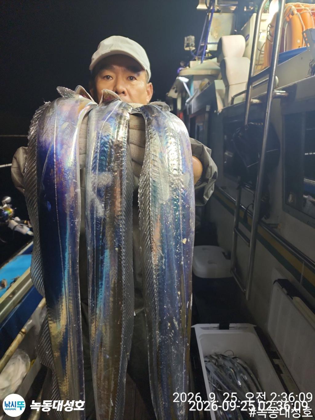 낚시뚜,갈치,녹동항,녹동대성호,낚시뚜42