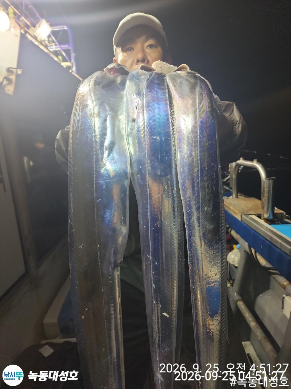 낚시뚜,갈치,녹동항,녹동대성호,낚시뚜41
