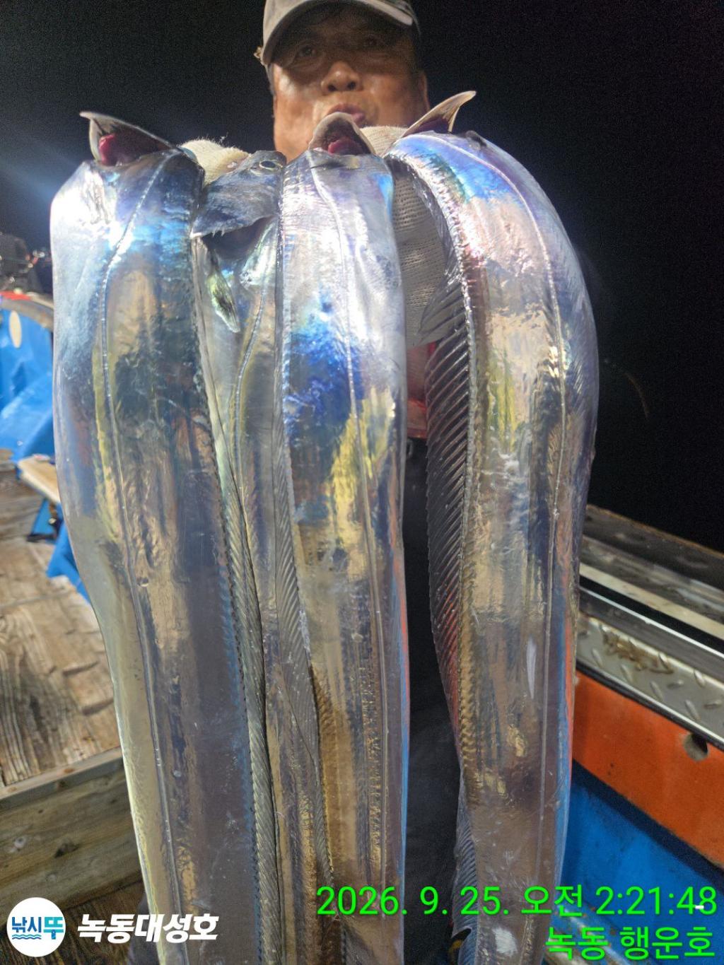 낚시뚜,갈치,녹동항,녹동대성호,낚시뚜31