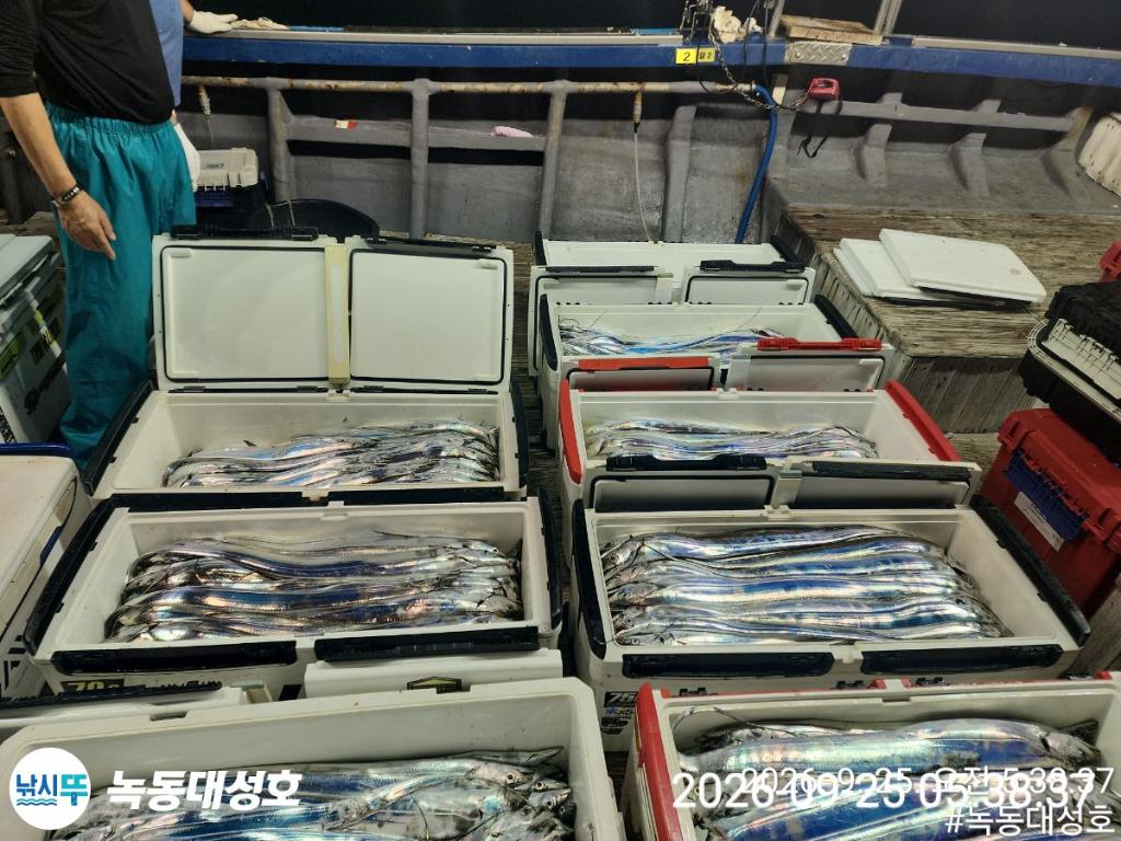 낚시뚜,갈치,녹동항,녹동대성호,낚시뚜10