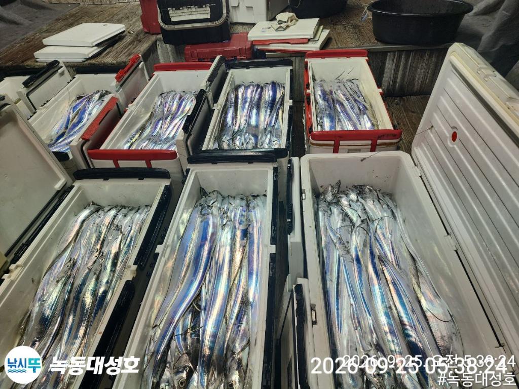 낚시뚜,갈치,녹동항,녹동대성호,낚시뚜9