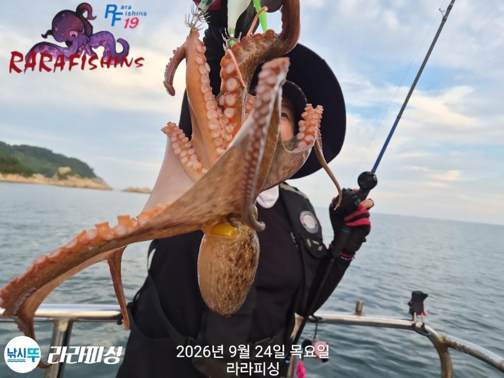 낚시뚜,돌문어,속천항(진해),라라피싱,낚시뚜6