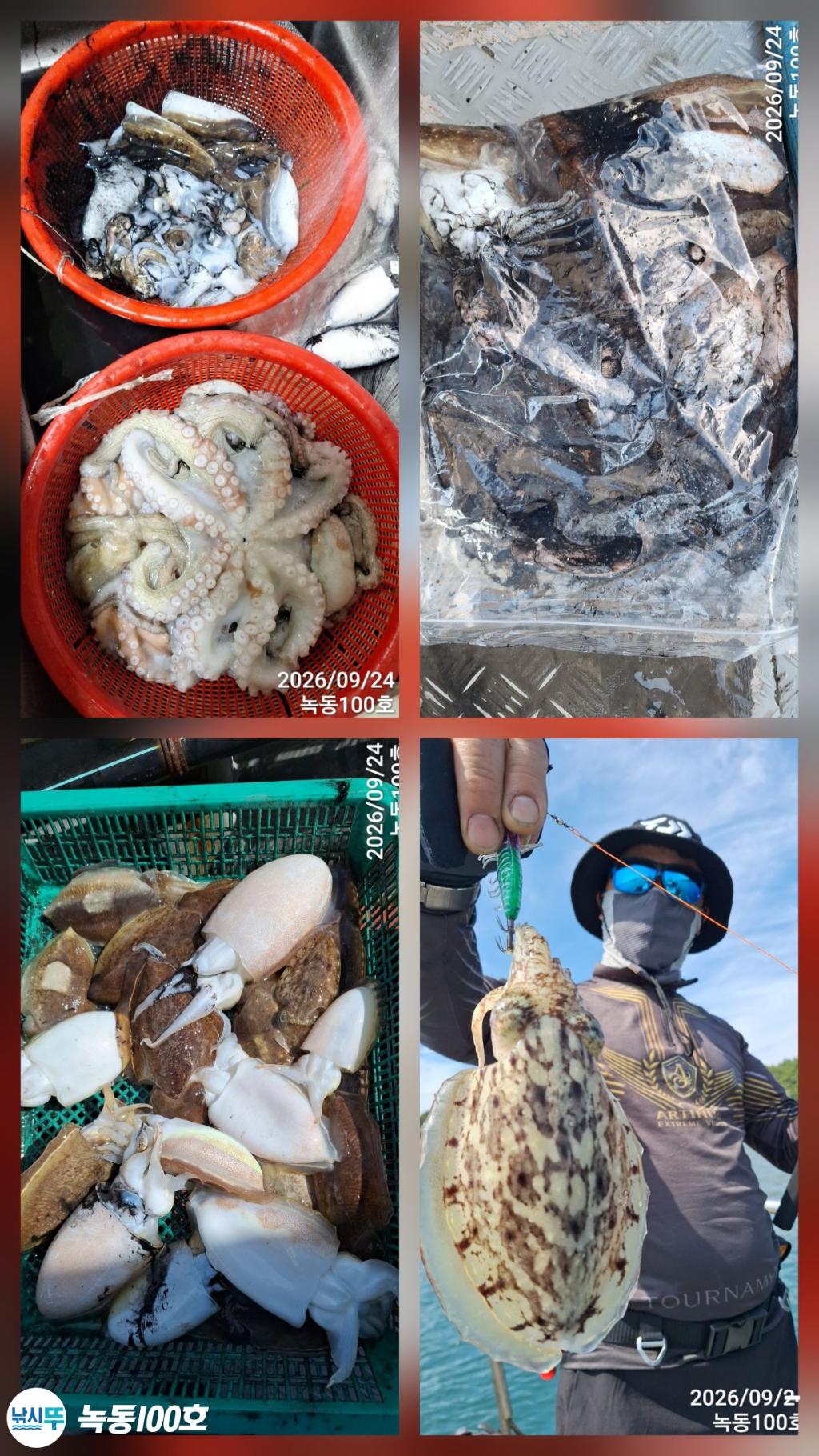 낚시뚜,갑오징어,녹동항,녹동100호,낚시뚜11