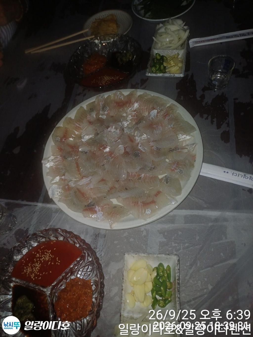 낚시뚜,감성돔,냉천항,일랑이다호,낚시뚜0