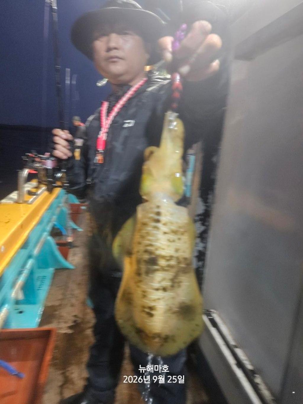 낚시뚜,무늬오징어,영일만항,뉴해마호,낚시뚜6