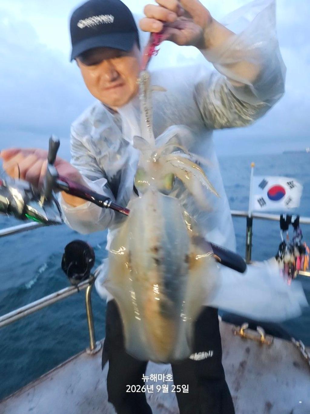 낚시뚜,무늬오징어,영일만항,뉴해마호,낚시뚜2