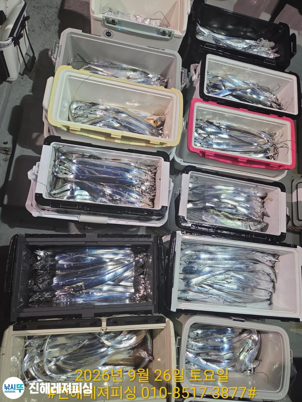 낚시뚜,갈치,진해1부두항,진해레져피싱,낚시뚜17