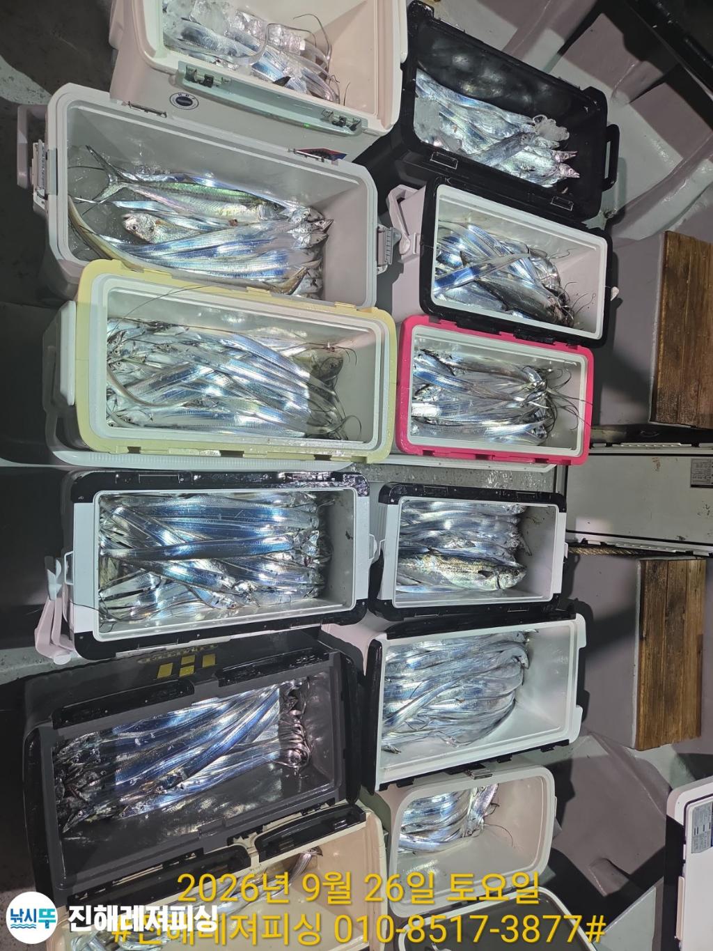 낚시뚜,갈치,진해1부두항,진해레져피싱,낚시뚜16