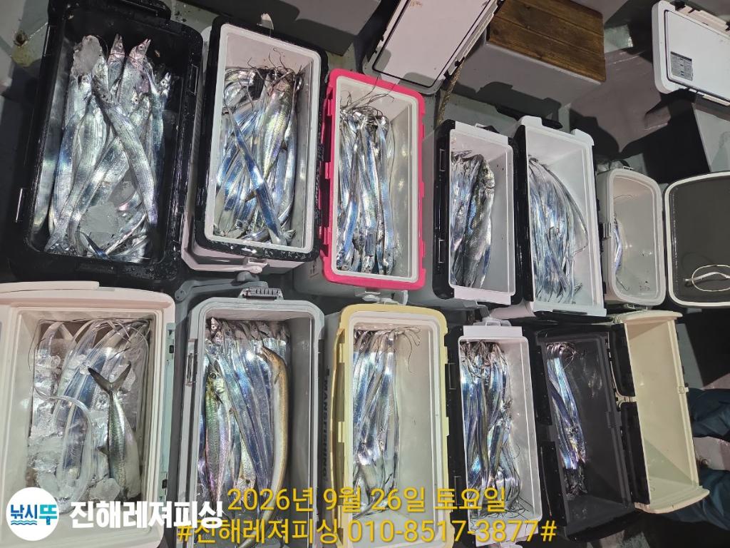 낚시뚜,갈치,진해1부두항,진해레져피싱,낚시뚜15