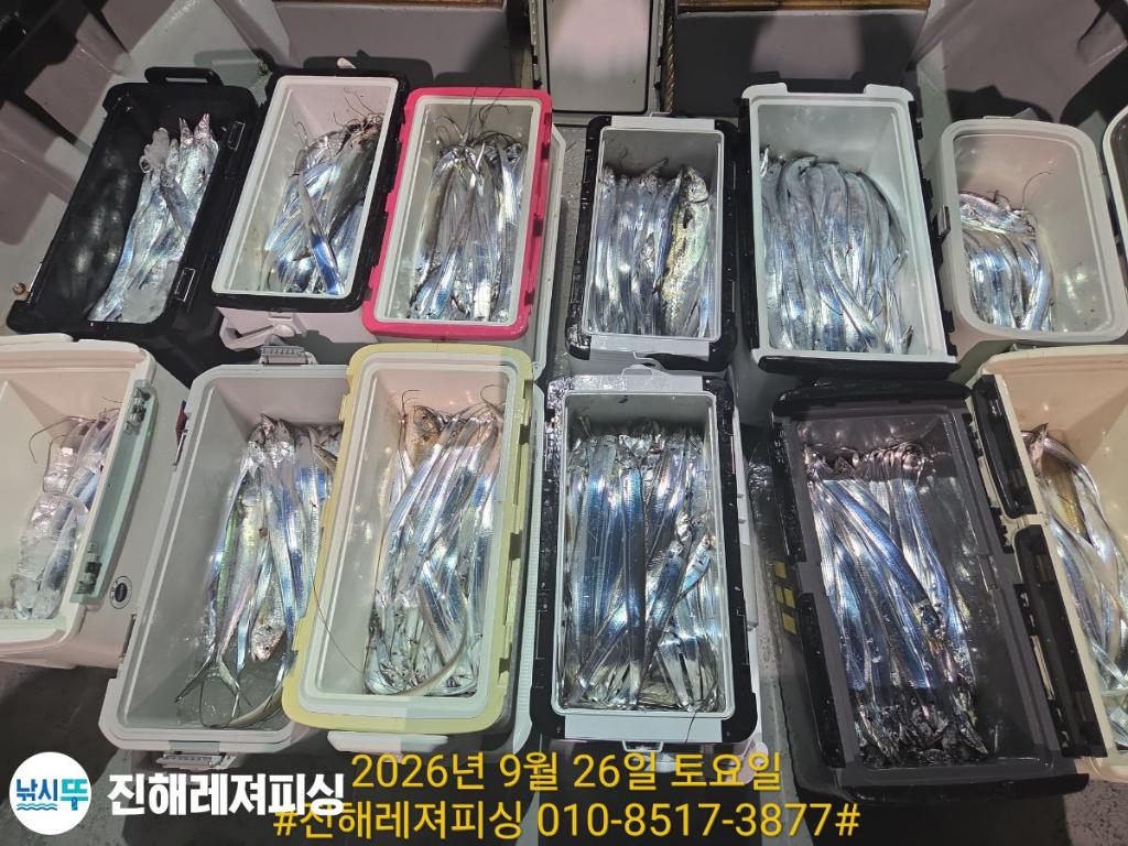 낚시뚜,갈치,진해1부두항,진해레져피싱,낚시뚜13
