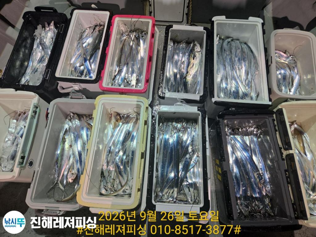 낚시뚜,갈치,진해1부두항,진해레져피싱,낚시뚜12