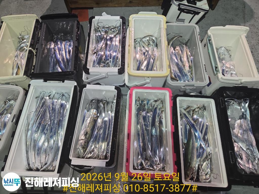 낚시뚜,갈치,진해1부두항,진해레져피싱,낚시뚜10