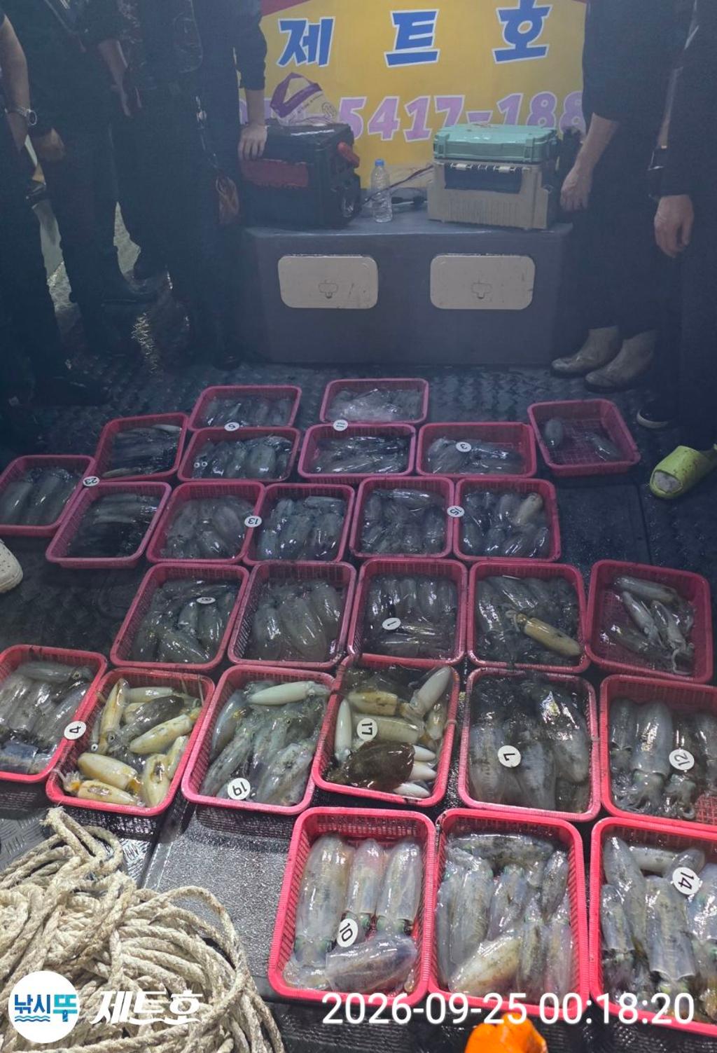 낚시뚜,무늬오징어,영일만항,포항 제트호,낚시뚜1